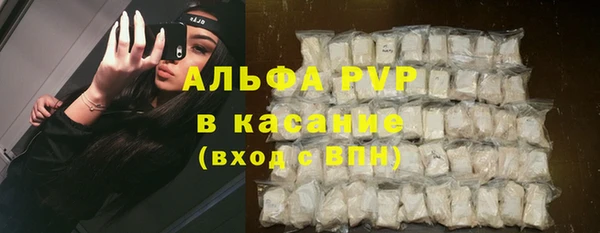 прущие грибы Арсеньев