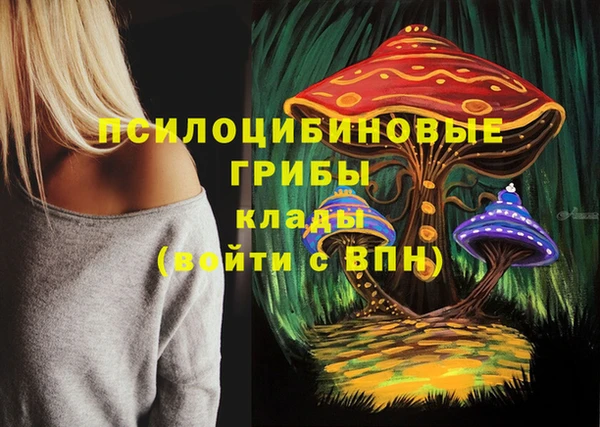 прущие грибы Арсеньев