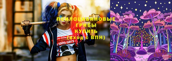 прущие грибы Арсеньев