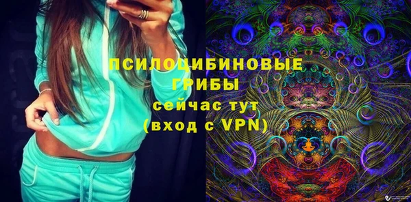 прущие грибы Арсеньев