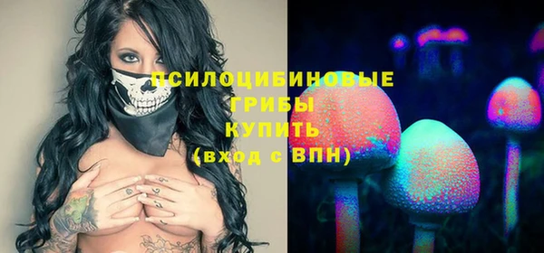 прущие грибы Арсеньев