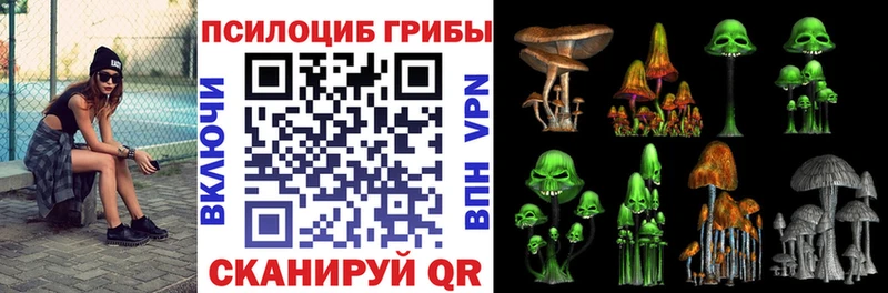 MEGA ССЫЛКА  Полярные Зори  Галлюциногенные грибы GOLDEN TEACHER 