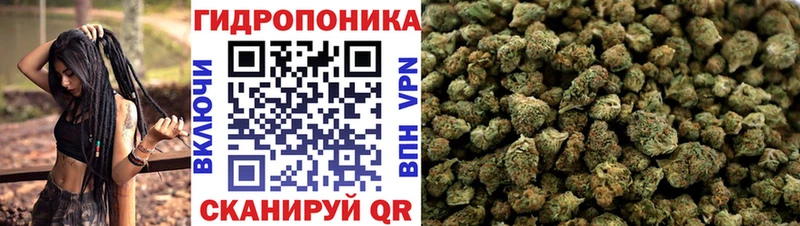 shop наркотические препараты  магазин продажи наркотиков  Полярные Зори  Бошки Шишки планчик 